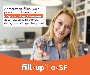 fillup e-sprawozdanie finansowe